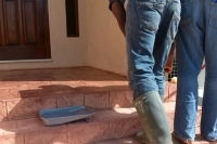 decorative-concrete-steps-04BF1E2127-D0D3-D9ED-083B-05D5692D3706.jpg
