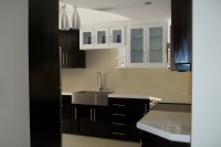 kitchen-design-and-construction-49049839E-1A23-398D-06C1-ADE110908041.jpg